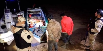 Detuvieron a dos hombres de Puerto Gaboto por cuatrerear vacas en la isla