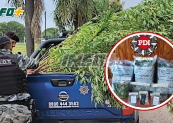 Operativo en Oliveros: secuestraron más de 13 kilos de marihuana