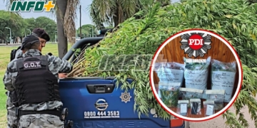 Operativo en Oliveros: secuestraron más de 13 kilos de marihuana