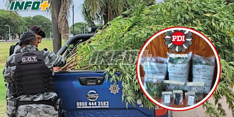 Operativo en Oliveros: secuestraron más de 13 kilos de marihuana