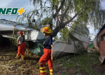 Pueblo Andino: el fuerte viento voló un techo de chapa y quedó sobre un árbol