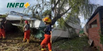Pueblo Andino: el fuerte viento voló un techo de chapa y quedó sobre un árbol
