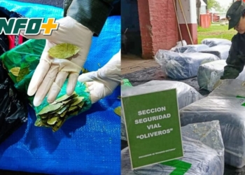 Secuestraron 1912 kilos de hojas de coca en el peaje de autopista, km 22