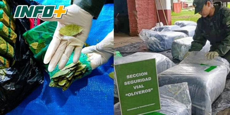 Secuestraron 1912 kilos de hojas de coca en el peaje de autopista, km 22