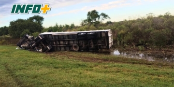 Volcó un camión con 43 novillos en la autopista: personas heridas y animales sueltos