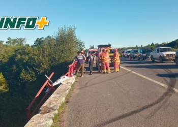 Camión cayó al río Carcarañá en la autopista Rosario Santa Fe: el conductor resultó herido