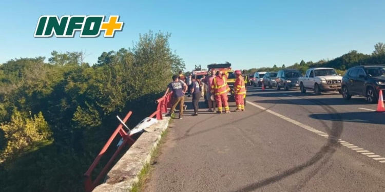 Camión cayó al río Carcarañá en la autopista Rosario Santa Fe: el conductor resultó herido
