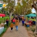 Maciel convoca a emprendedores y feriantes a participar de la gran feria local