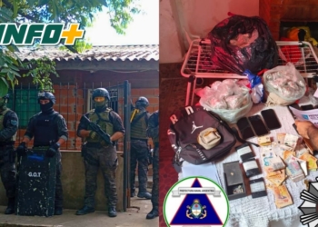 Golpe al narcotráfico: desbaratan banda con 8 detenidos y más de $12 millones incautados
