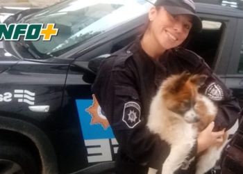 Rescataron a un perro encerrado dentro de un auto en Capitán Bermúdez