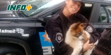 Rescataron a un perro encerrado dentro de un auto en Capitán Bermúdez