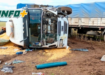 Ruta 11: un camión despistó entre Maciel y Oliveros y volcó en medio del campo