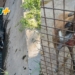 Exitoso operativo de bomberos de Totoras para salvar a un perro que cayó a una fosa