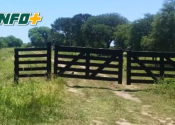 Dejó su moto frente a una tranquera en zona rural de Carrizales y la robaron