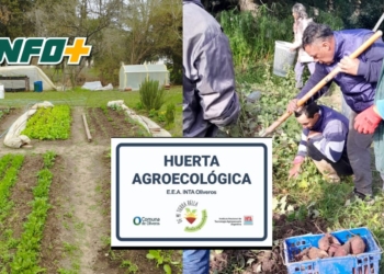 “De mi Tierra Bella”: una huerta comunitaria que crece en Oliveros