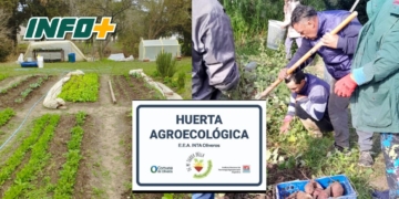 “De mi Tierra Bella”: una huerta comunitaria que crece en Oliveros