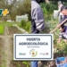 “De mi Tierra Bella”: una huerta comunitaria que crece en Oliveros