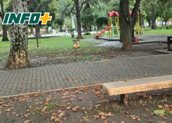 Maciel: perdió una riñonera con el celular adentro y detectó una transferencia de $500 mil