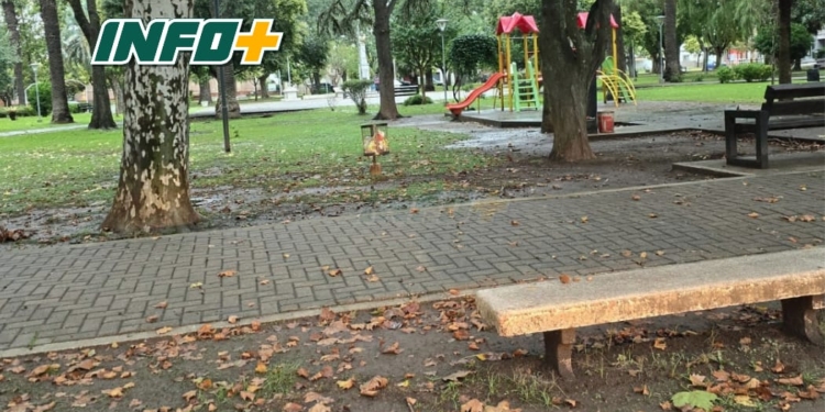 Maciel: perdió una riñonera con el celular adentro y detectó una transferencia de $500 mil