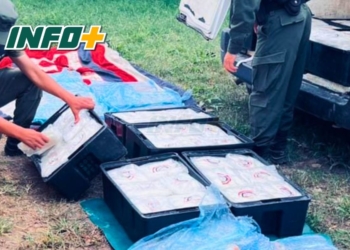 Barrancas: incautaron 140 kilos de filet y 170 kilos de empanadas de pescado por irregularidades