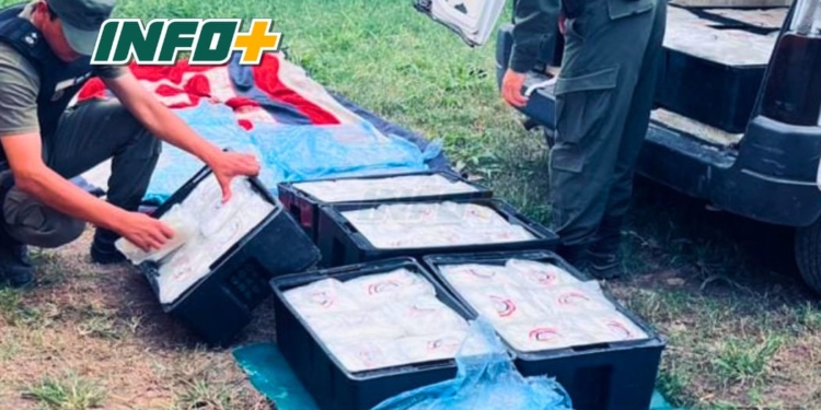 Barrancas: incautaron 140 kilos de filet y 170 kilos de empanadas de pescado por irregularidades