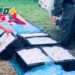 Barrancas: incautaron 140 kilos de filet y 170 kilos de empanadas de pescado por irregularidades