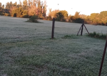 Llegaron las primeras heladas del año a la región