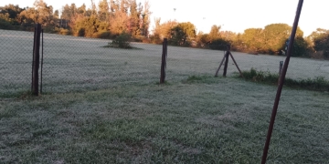 Llegaron las primeras heladas del año a la región