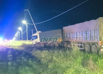 Timbúes: un camión despistó camino a los puertos y tumbó dos columnas de alumbrado