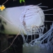 Tumbaron una columna, robaron cables y dejaron sin luz a Monje, Maciel y Gaboto