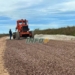 Con mano de obra local, avanza el ripio de 10 km en Clason