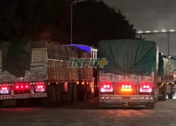 Tragedia en la región: un camión atropelló y mató a un trabajador en Terminal 6
