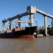 Tripulación en cuarentena en el puerto de Vicentín por un caso sospechoso de Ébola