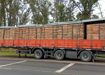 Un camionero denunció que fue secuestrado y asaltado en la región