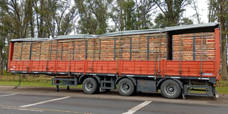 Un camionero denunció que fue secuestrado y asaltado en la región