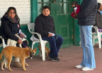 San Genaro esterilizó 47 mascotas y hay fecha para una nueva jornada