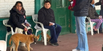 San Genaro esterilizó 47 mascotas y hay fecha para una nueva jornada
