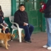 San Genaro esterilizó 47 mascotas y hay fecha para una nueva jornada