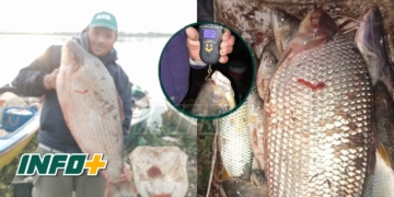 Un gigante en Puerto Gaboto: pescaron un sábalo de 13.5 kilos en el Río Coronda