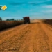 La Comuna de Pueblo Irigoyen continúa con mejoras en los caminos rurales