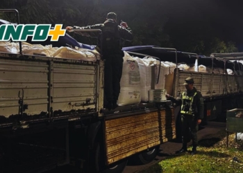 Gendarmería incautó 28 mil kilos de precursores químicos en Ruta 34