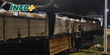 Gendarmería incautó 28 mil kilos de precursores químicos de drogas en Ruta 34