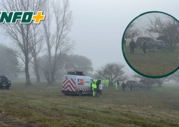 Niebla y despiste en la autopista: un auto terminó contra un árbol a la altura de Barrancas