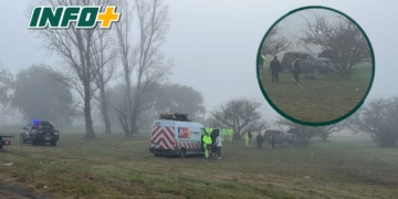 Niebla y despiste en la autopista: un auto terminó contra un árbol a la altura de Barrancas