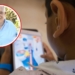 Totoras: Pascual impulsa un Plan Municipal de Prevención contra los riesgos en redes y videojuegos