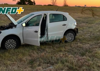 Un auto despistó al intentar esquivar a un perro sobre la autopista