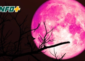 La Luna de Fresa iluminará el cielo este lunes 29 de junio