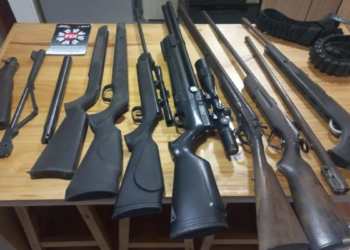 Secuestraron armas y un cuero de yacaré durante un allanamiento en Barrancas