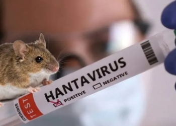 Detectaron un caso de hantavirus en San Lorenzo y el paciente fue internado