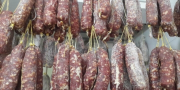 Salamines en la mira: clausuraron una chanchería de la región por un brote de triquinosis